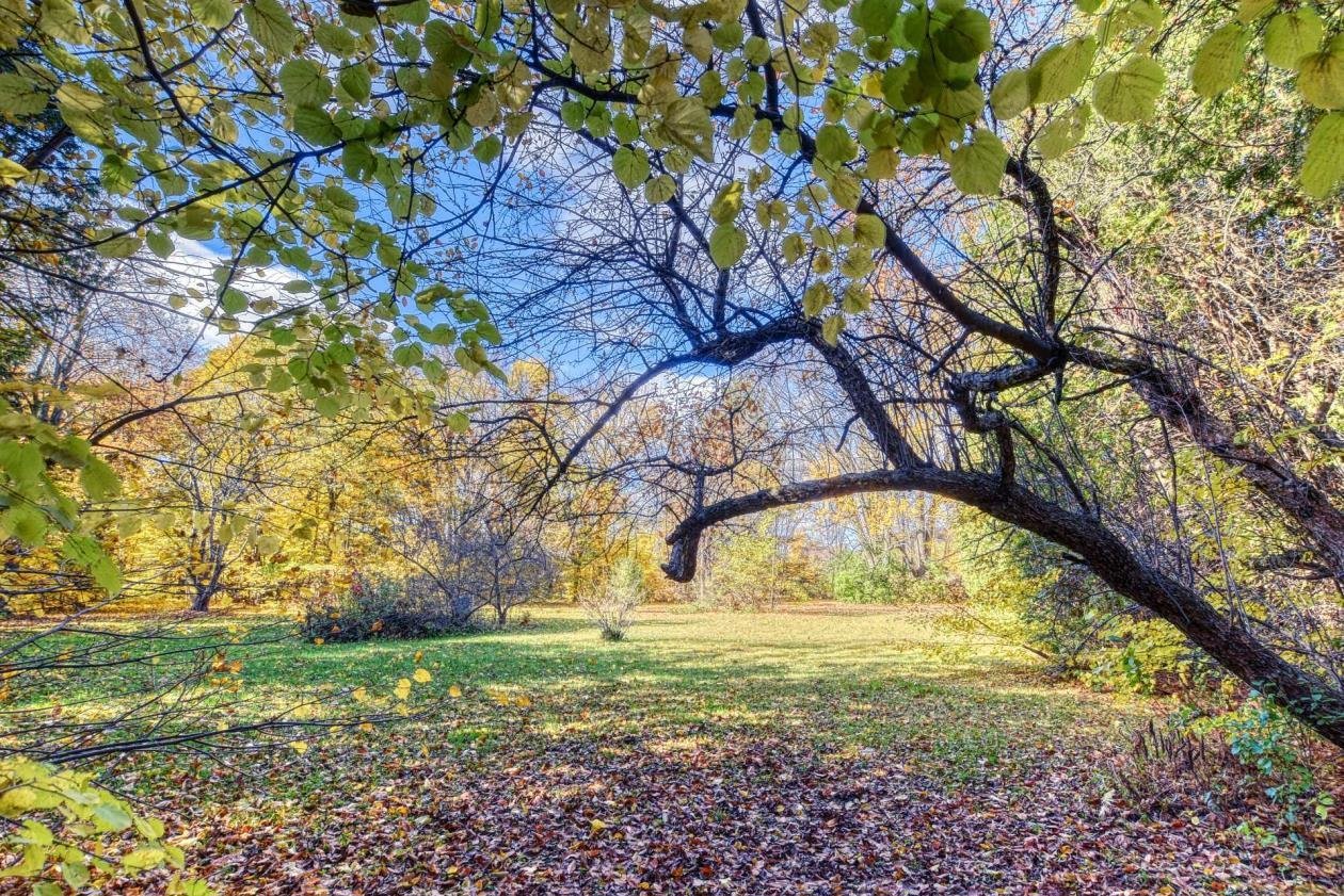 Oka, QC J0N 1E0, Canada, 3 Bedrooms Bedrooms, ,1 BathroomBathrooms,Residential,Active,75012