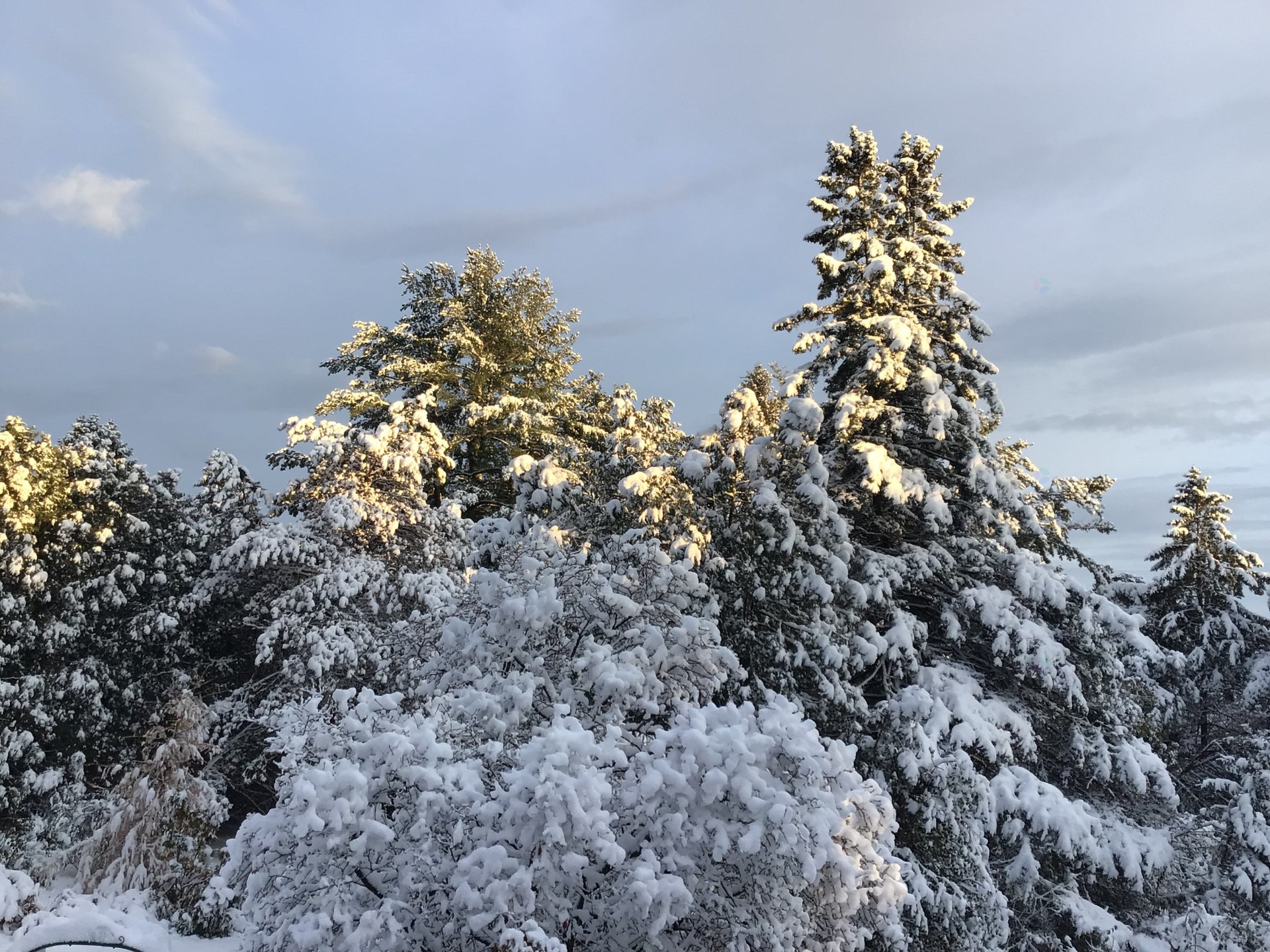 Oka, QC J0N 1E0, Canada, 3 Bedrooms Bedrooms, ,1 BathroomBathrooms,Residential,Active,75012