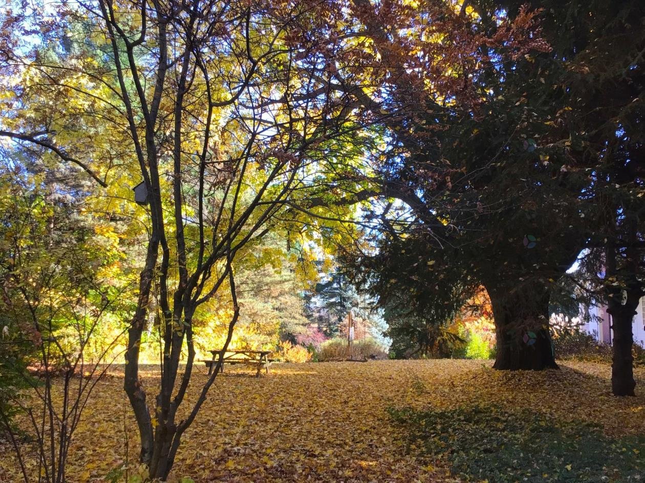 Oka, QC J0N 1E0, Canada, 3 Bedrooms Bedrooms, ,1 BathroomBathrooms,Residential,Active,75012