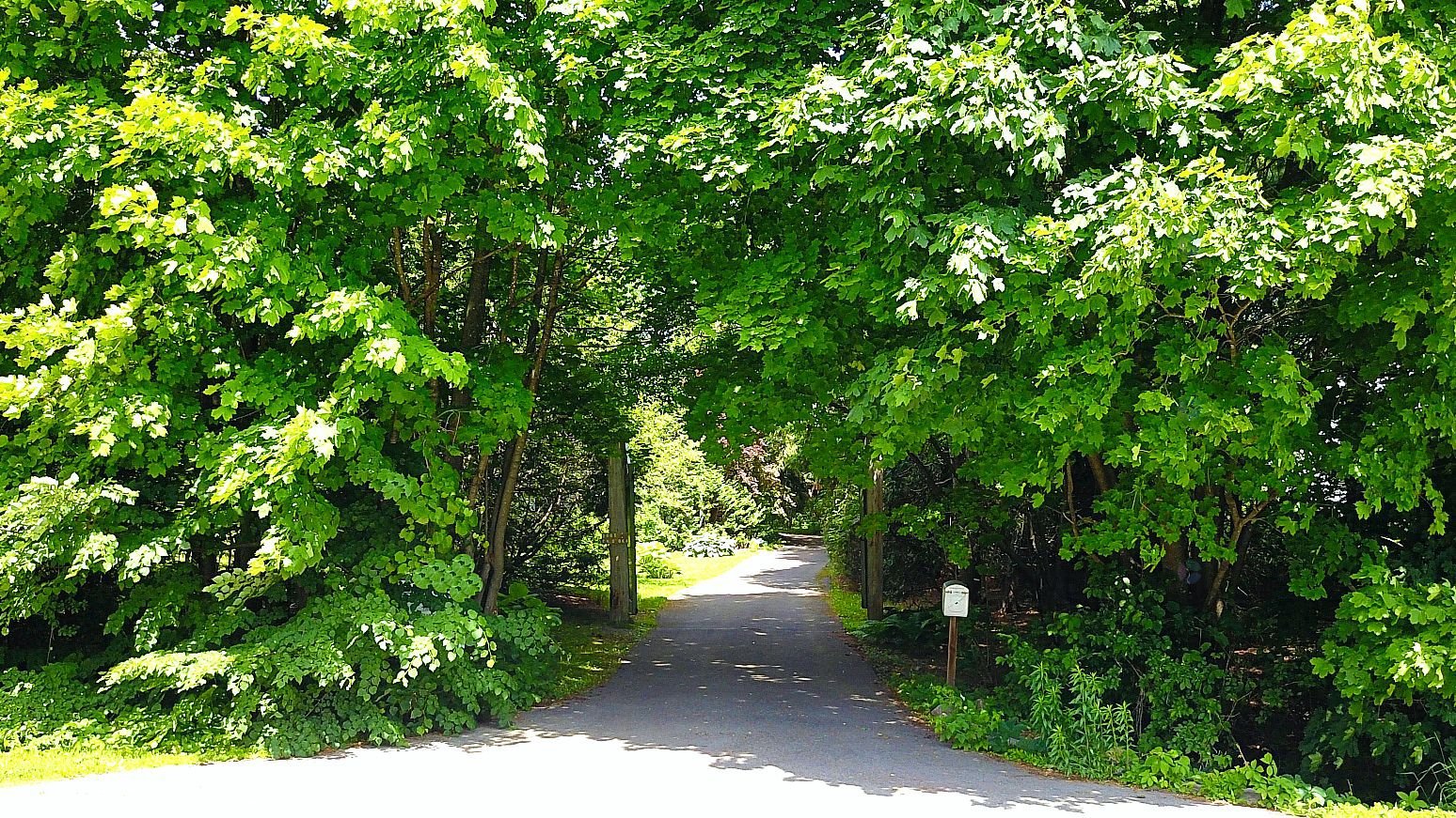 Oka, QC J0N 1E0, Canada, 3 Bedrooms Bedrooms, ,1 BathroomBathrooms,Residential,Active,75012