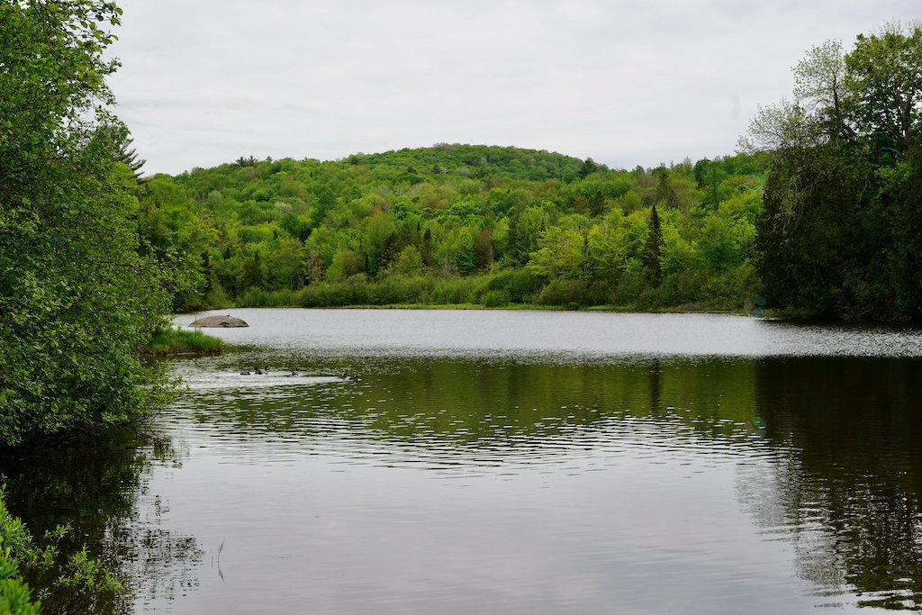 Prévost, QC J5L 2S2, Canada, 2 Bedrooms Bedrooms, ,1 BathroomBathrooms,Residential,Active,230369 Prévost, QC J5L 2S2, Canada, 2 Bedrooms Bedrooms, ,1 BathroomBathrooms,Residential,Active,230369