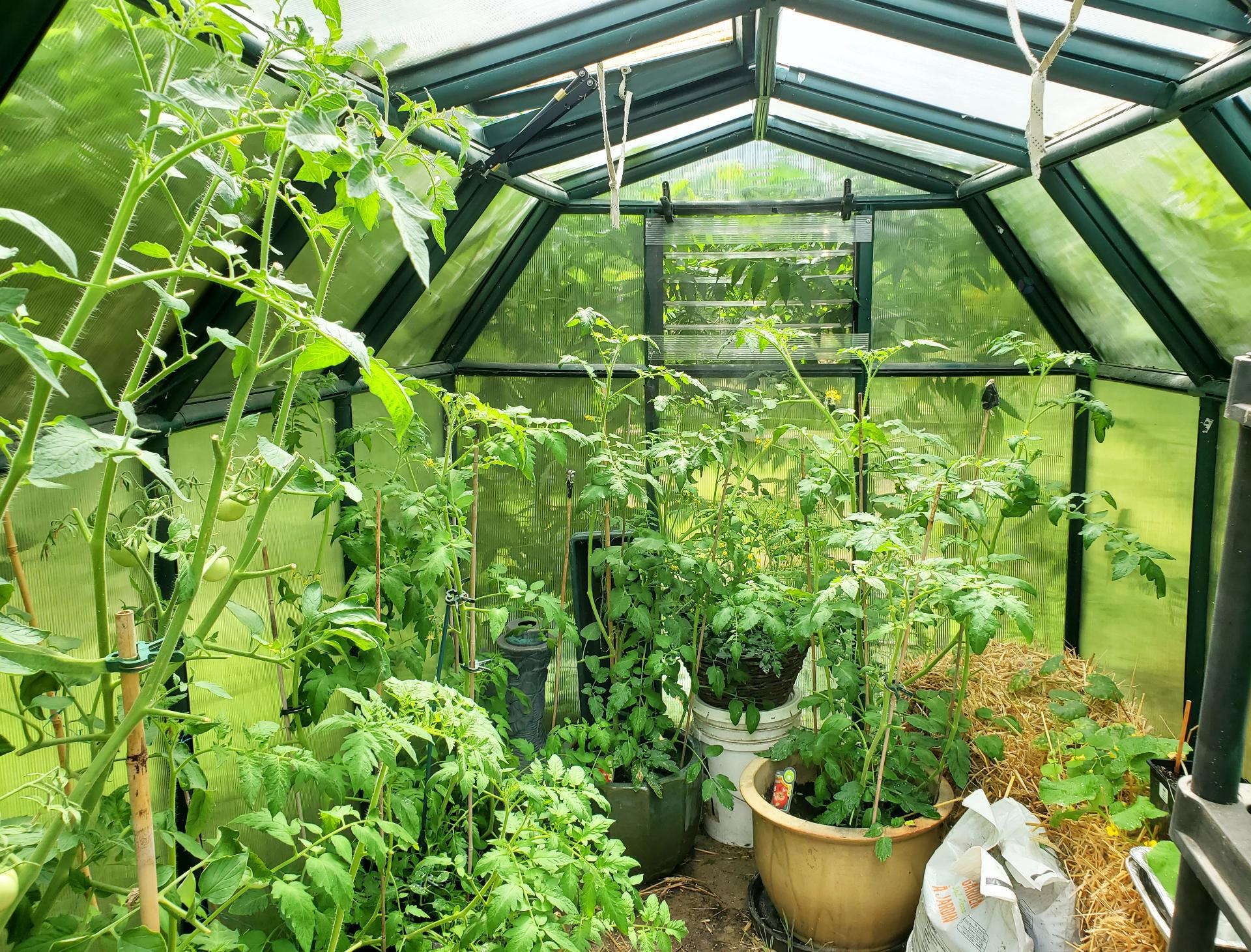 Brome, QC J0E 1K0, Canada, 3 Bedrooms Bedrooms, ,2 BathroomsBathrooms,Residential,Active,206631