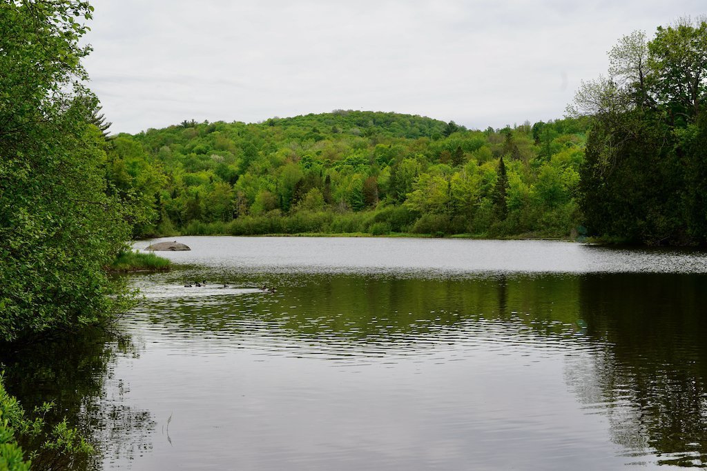 Prévost, QC J5L 2S2, Canada, 2 Bedrooms Bedrooms, ,1 BathroomBathrooms,Residential,Active,251388