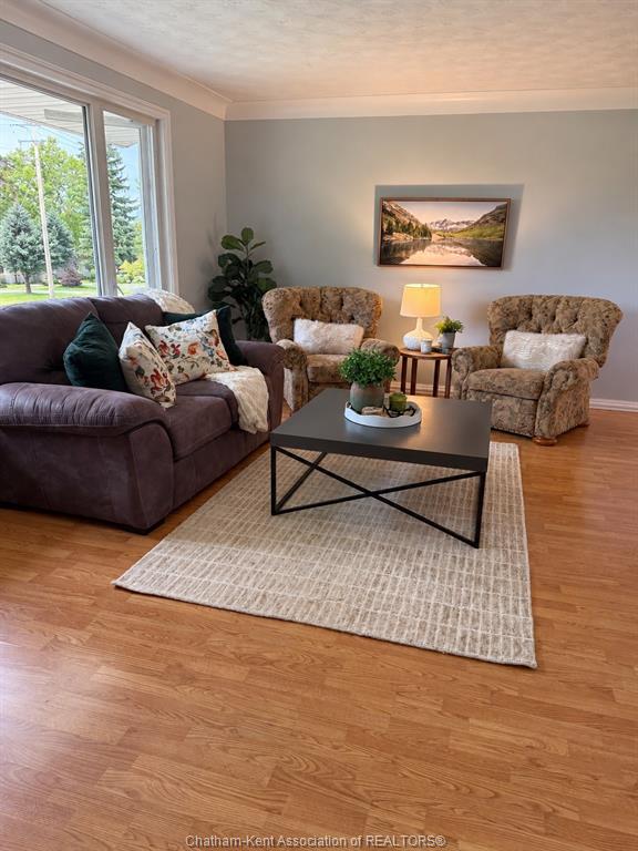 3501 EGREMONT Road
