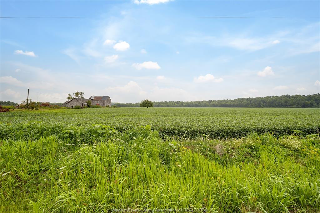 1094 HALE SCHOOL Road