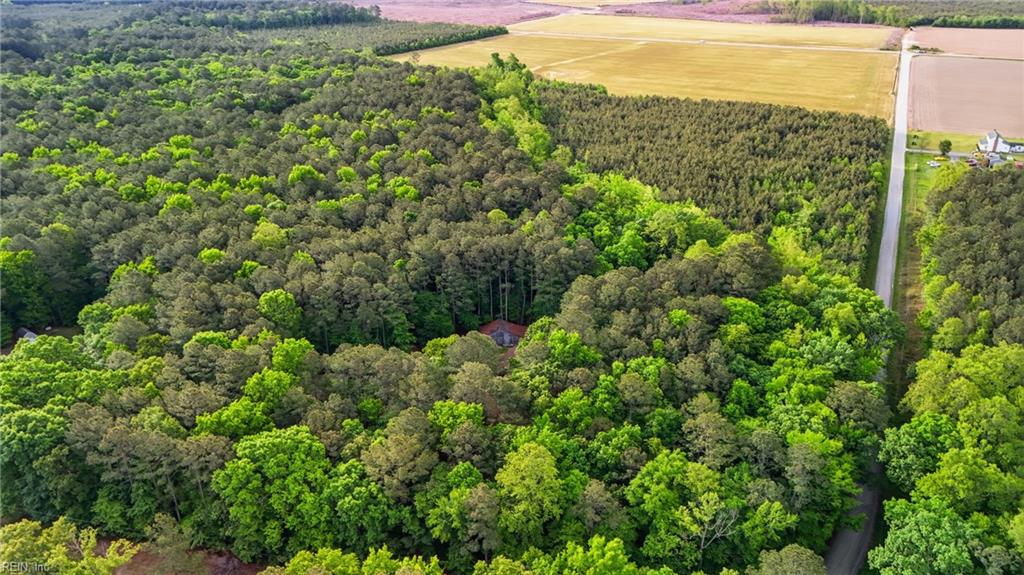 15535 Strawberry Plains RD