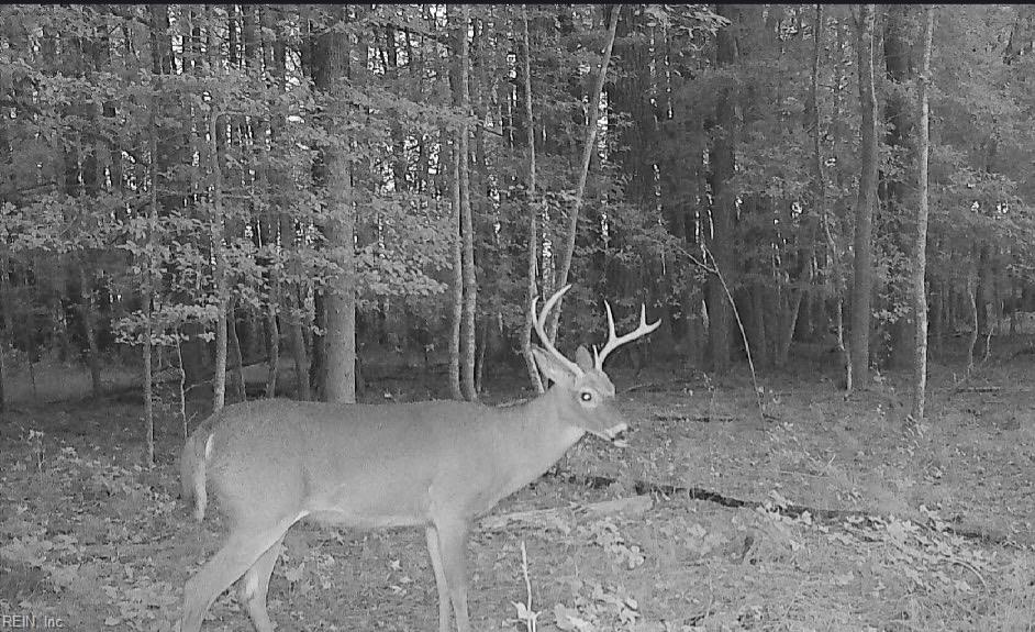 10+AC Groton Tract A Woods