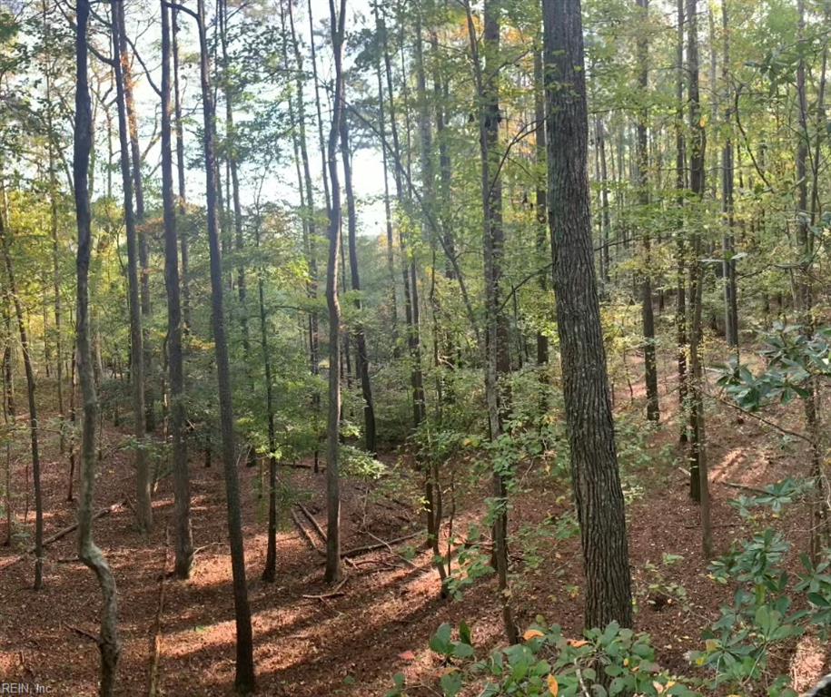 10+AC Groton Tract A Woods