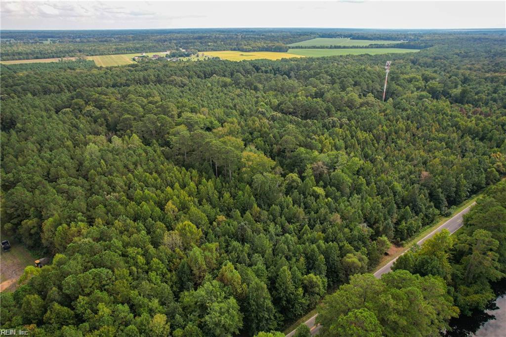 2.5 Ac Dismal Swamp Canal TRL