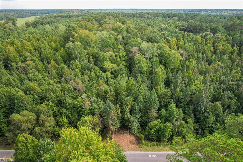 2.5 Ac Dismal Swamp Canal TRL