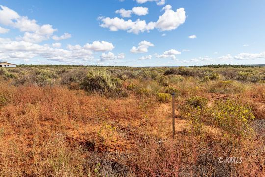 Kanab, Utah 84741, United States, ,Land,Active,69957