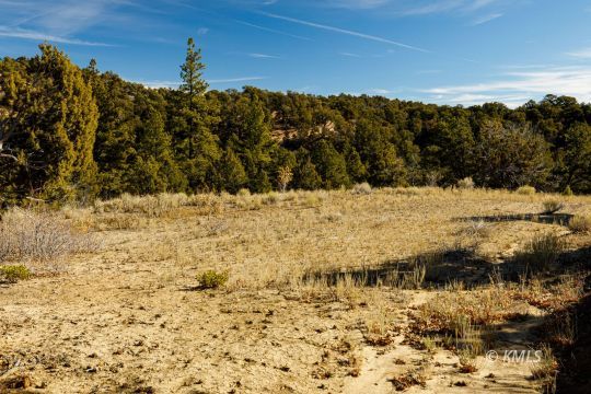 Deer Springs Ranch, Utah 84741, United States, ,Land,Active,242860