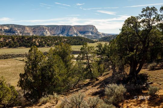 Deer Springs Ranch, Utah 84741, United States, ,Land,Active,242860