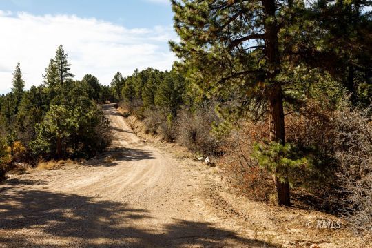Deer Springs Ranch, Utah 84741, United States, ,Land,Active,242860