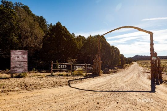 Deer Springs Ranch, Utah 84741, United States, ,Land,Active,242860