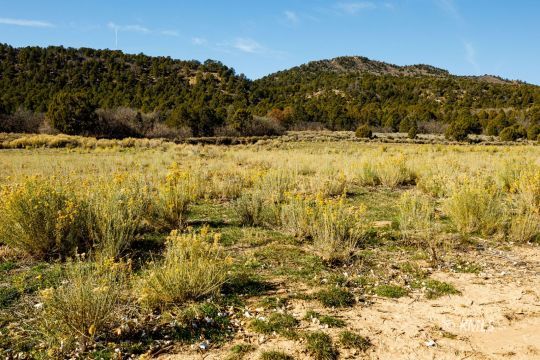 Deer Springs Ranch, Utah 84741, United States, ,Land,Active,242860