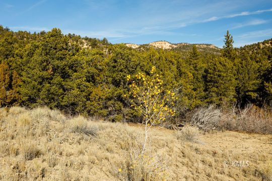 Deer Springs Ranch, Utah 84741, United States, ,Land,Active,242860