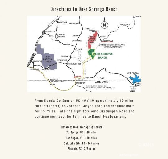 Deer Springs Ranch, Utah 84741, United States, ,Land,Active,242860