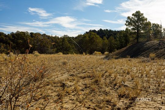 Deer Springs Ranch, Utah 84741, United States, ,Land,Active,242860