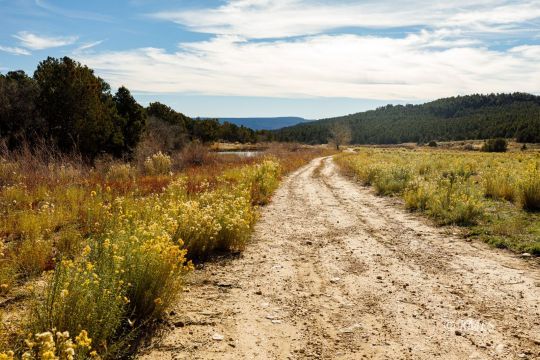 Deer Springs Ranch, Utah 84741, United States, ,Land,Active,242860