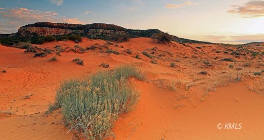 Kanab, Utah 84741, United States, ,Land,Active,71299