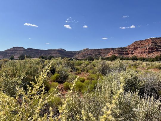 Kanab, Utah 84741, United States, ,Land,Active,72337