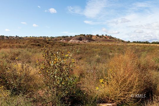 Kanab, Utah 84741, United States, ,Land,Active,69953