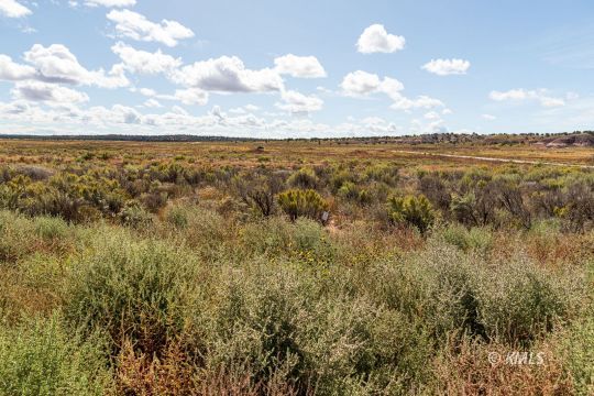 Kanab, Utah 84741, United States, ,Land,Active,69955