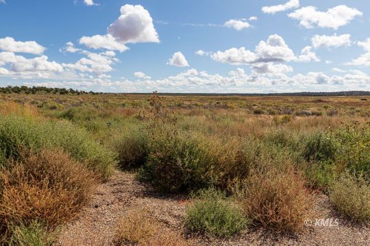 Kanab, Utah 84741, United States, ,Land,Active,69955