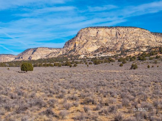Kanab, Utah 84741, United States, ,Land,Active,81532
