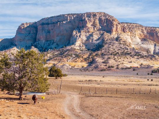 Kanab, Utah 84741, United States, ,Land,Active,81532