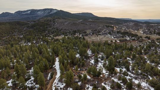 Orderville, Utah 84758, United States, ,Land,Active,94928