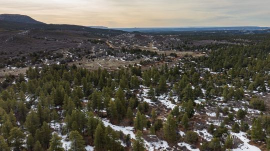 Orderville, Utah 84758, United States, ,Land,Active,94928