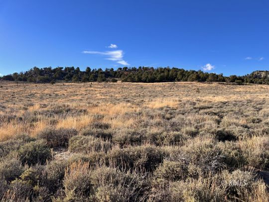 Alton, Utah 84710, United States, ,Land,Active,35448