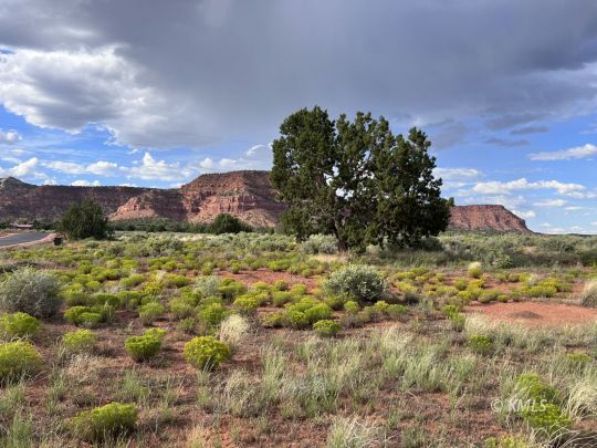 Kanab, Utah 84741, United States, ,Land,Active,70874