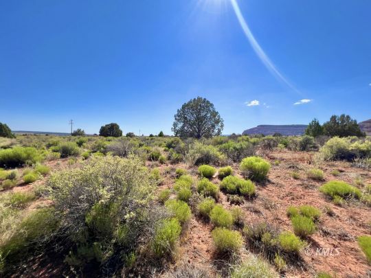Kanab, Utah 84741, United States, ,Land,Active,71500