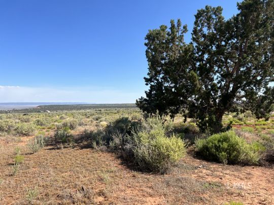 Kanab, Utah 84741, United States, ,Land,Active,72329