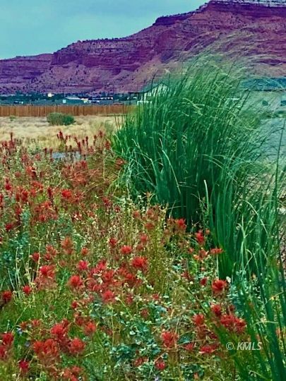 Kanab, Utah 84741, United States, 3 Bedrooms Bedrooms, ,2 BathroomsBathrooms,Residential,Active,222189