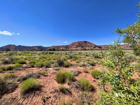 Kanab, Utah 84741, United States, ,Land,Active,72336