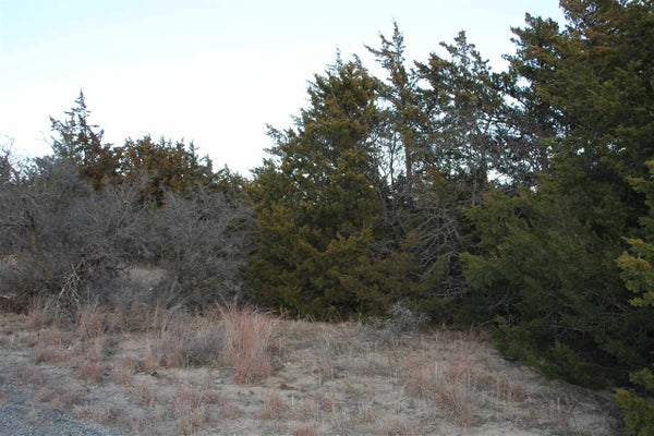 5524 STATE HIGHWAY 34C LOT 36, WOODWARD, OK 73801 - Image 032425defa78d0fa895359cbae916da8/1969056656