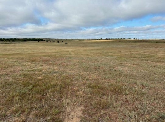 E 43RD RD, WOODWARD, OK 73801 - Image ce85e236d3a261bbd06d7d51f2bbab6d/738231480
