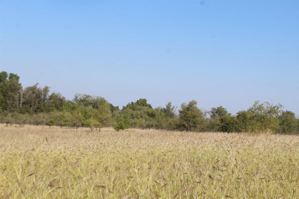 OAK PARK LN, WOODWARD, OK 73801 - Image ebcb520c8a788f9d076115edd00c1276/81943885