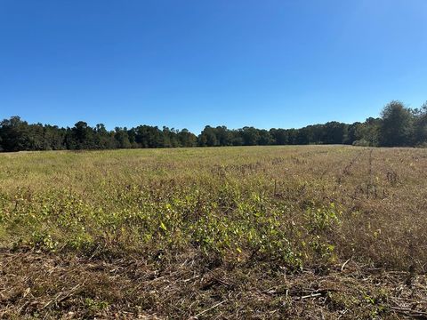 Photo of 0 PT Salter Road, Poulan, GA 31781 (MLS # 138997)