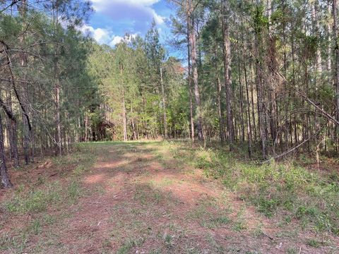 Photo of 00 Kelly Rd, Wray, GA 31798 (MLS # 142488)