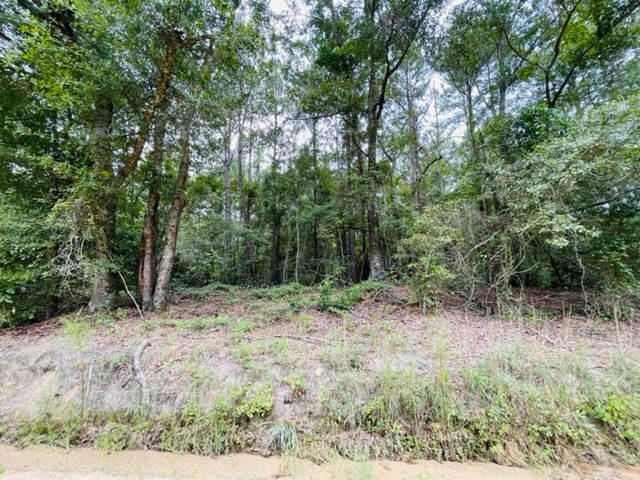 Tract 5 Harold Tyson Road