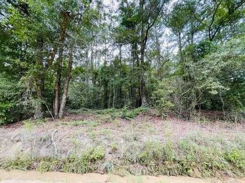Tiny photo for 5 Harold Tyson Road, Tifton, GA 31794 (MLS # 134343)