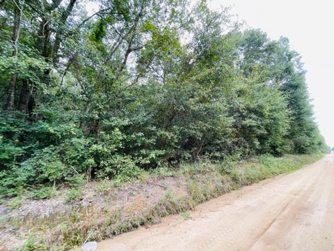 Tiny photo for 5 Harold Tyson Road, Tifton, GA 31794 (MLS # 134343)