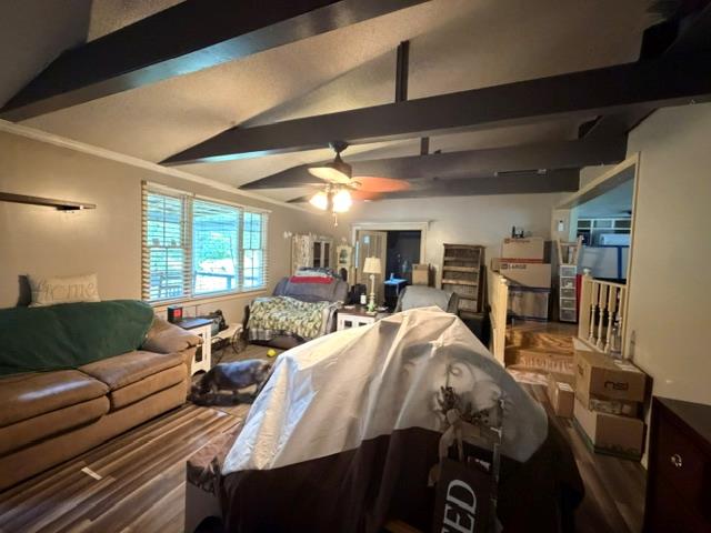 143 Lyndon Cir