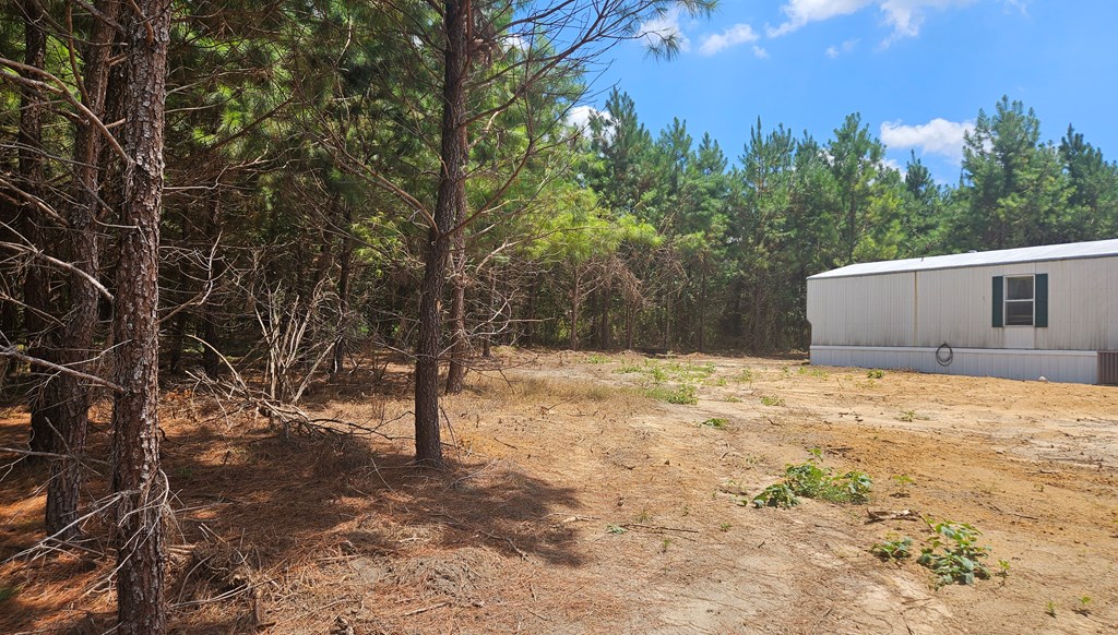 156 Lindy Rd