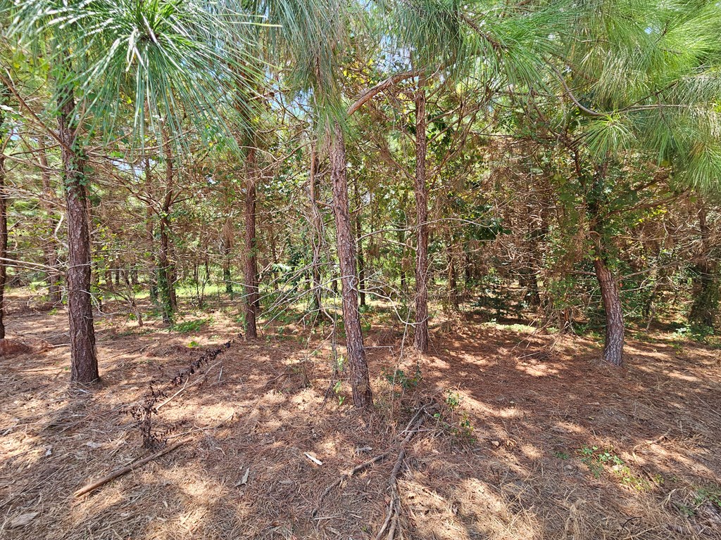 156 Lindy Rd